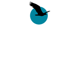 Logo Ilona Burgers